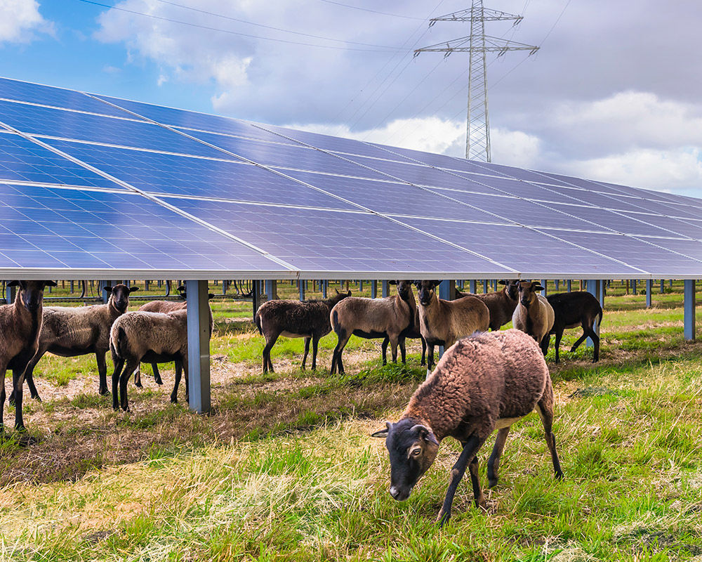 Dörverden solar park