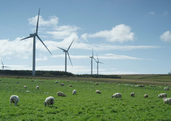 wind farm